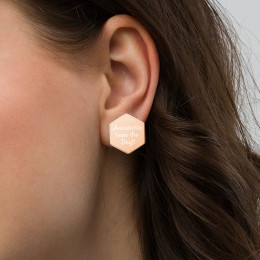 Sterling Silver Hexagon Stud Earrings - Assistants Save the Day